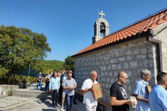 IMG-e360877babdda0926f341ea1942c996e-V-Medium