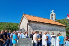 IMG-e360c7a55c53540e6b8af26f46fa42f0-V-Medium