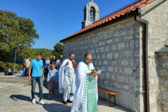 IMG-ff6d0feece1ac4490919d953e0825cd2-V-Medium