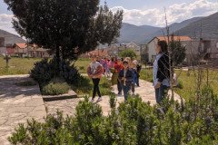 IMG_20230421_111303-Medium