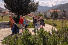 IMG_20230421_111308-Medium