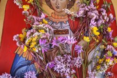 IMG_20230421_115012-Medium