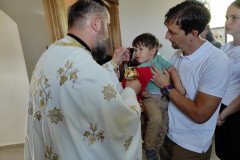 IMG_20220522_095751-Medium