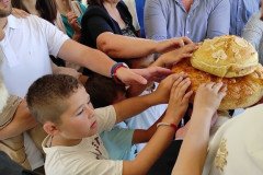 IMG_20220522_101643-Medium