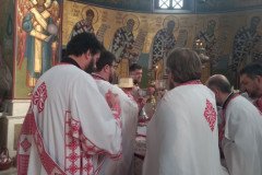 IMG-10b1b94b171fef4d02e371c0af53895a-V-Medium