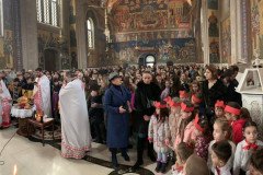 IMG-16c61284c574d4f1f4e6cfc9daa7ebae-V-Medium