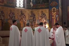 IMG-1e30f20dc9ba4e41f9a60671ece46526-V-Medium