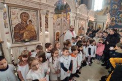 IMG-20230127-WA0001-Medium