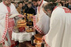 IMG-467fbcf034f189c9383a9a098c61d46e-V-Medium