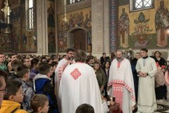 IMG-4db1e925ec25ddaa1da0167938b23abc-V-Medium