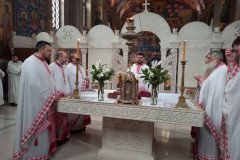 IMG-715b6e58cb67b856bbf736b12d8bd9e0-V-Medium