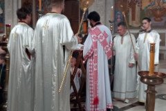 IMG-88ea15bdb7a75b5005fe4378e32810ba-V-Medium