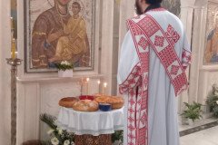 IMG-8e3cfae47aede378492facd8e44aebf1-V-Medium