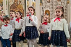 IMG-903be50a6c46142bb490bf91b2752aa3-V-Medium