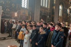 IMG-a7d691f91e139267e9245bafd514ad62-V-Medium