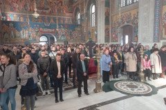 IMG-03300bd0860c1a44067fec842374109d-V-Medium