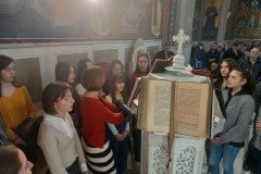 IMG-5b8ba19a7b23dc75fa90fb5d7abc771c-V-Medium