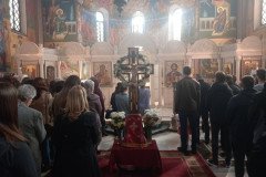 IMG-c84107c8ac23b8ec85b42357d55fab8b-V-Medium