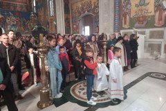 IMG-e70ded1db7a344d0bce0b50a3e3e39b0-V-Medium