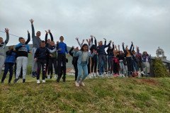 IMG-a50f23000c4051b6838d670b8e7f9ecc-V-Medium