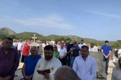 IMG-67d11896ad1772ca3eef69ef6ae1b879-V-Medium