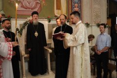 IMG_0174-Medium