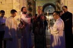 IMG_0242-Medium