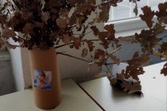 IMG_20211225_112911-Custom