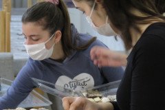 IMG_3930-Custom