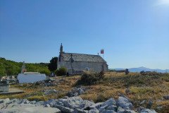 IMG20220717081601-Medium