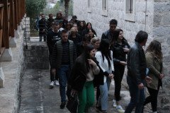 IMG-106ae4b8e8d3a091a8c196e4825d3189-V-Medium