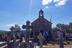 IMG_20220802_095125-Medium