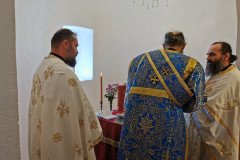 IMG_20220802_100820-Medium