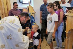 IMG_20220802_101107-Medium