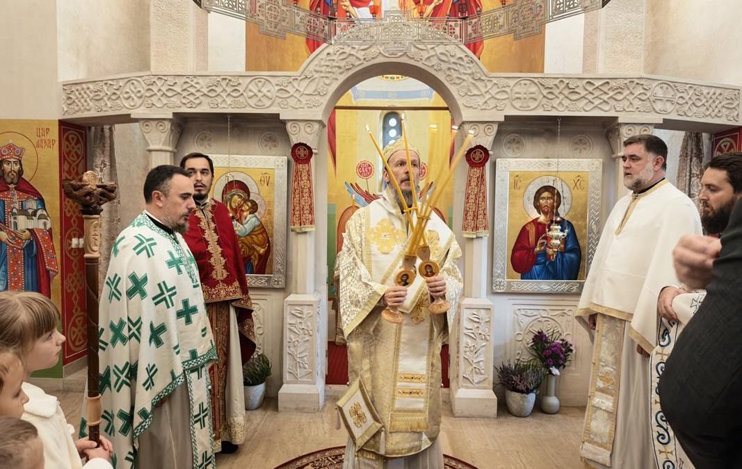 Владика Димитрије служио у Берковићима
