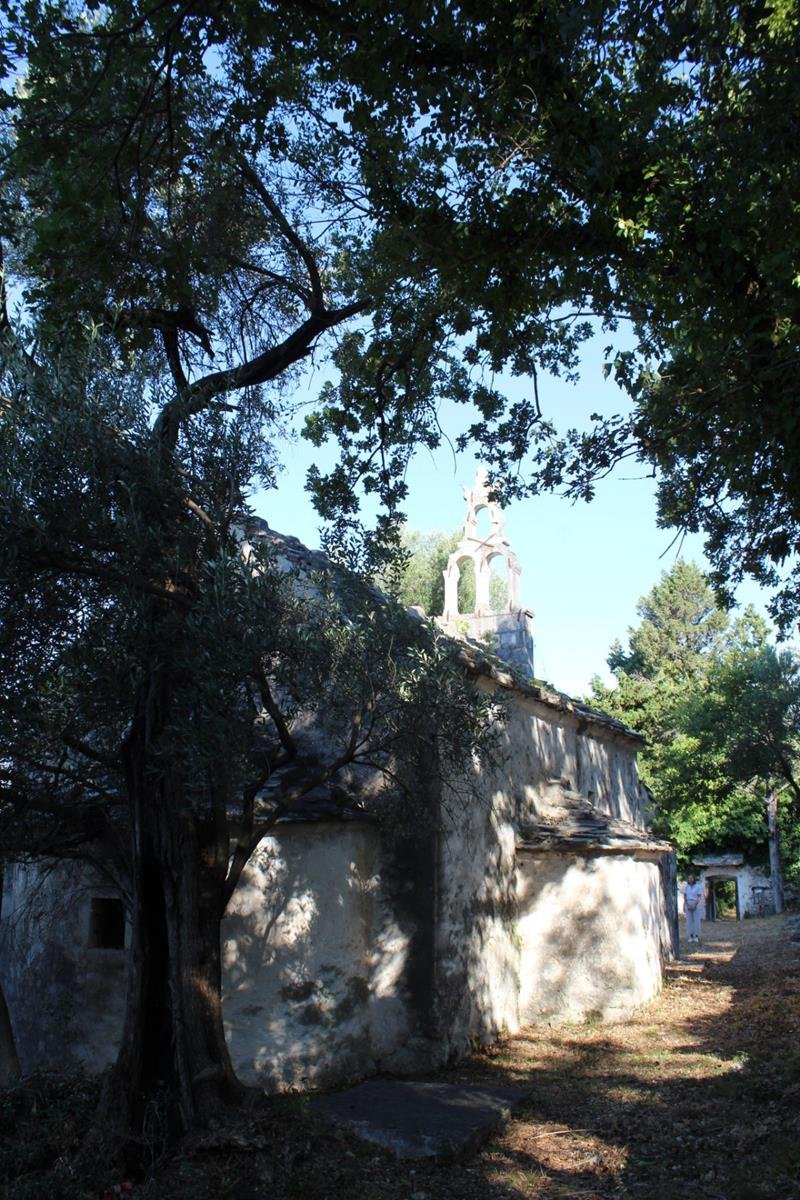 IMG-5b1239f5436bad11a00ed26a143950a9-V