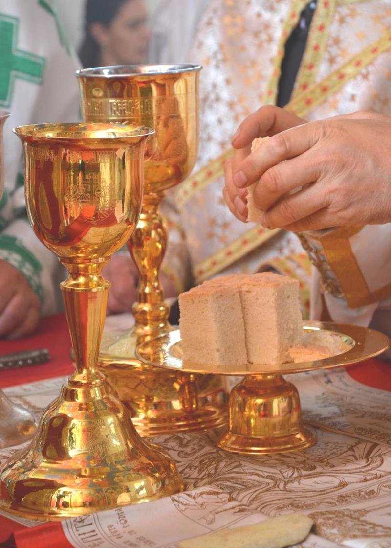 IMG-c598c209abeb18cdd411d8a74f31ba0b-V