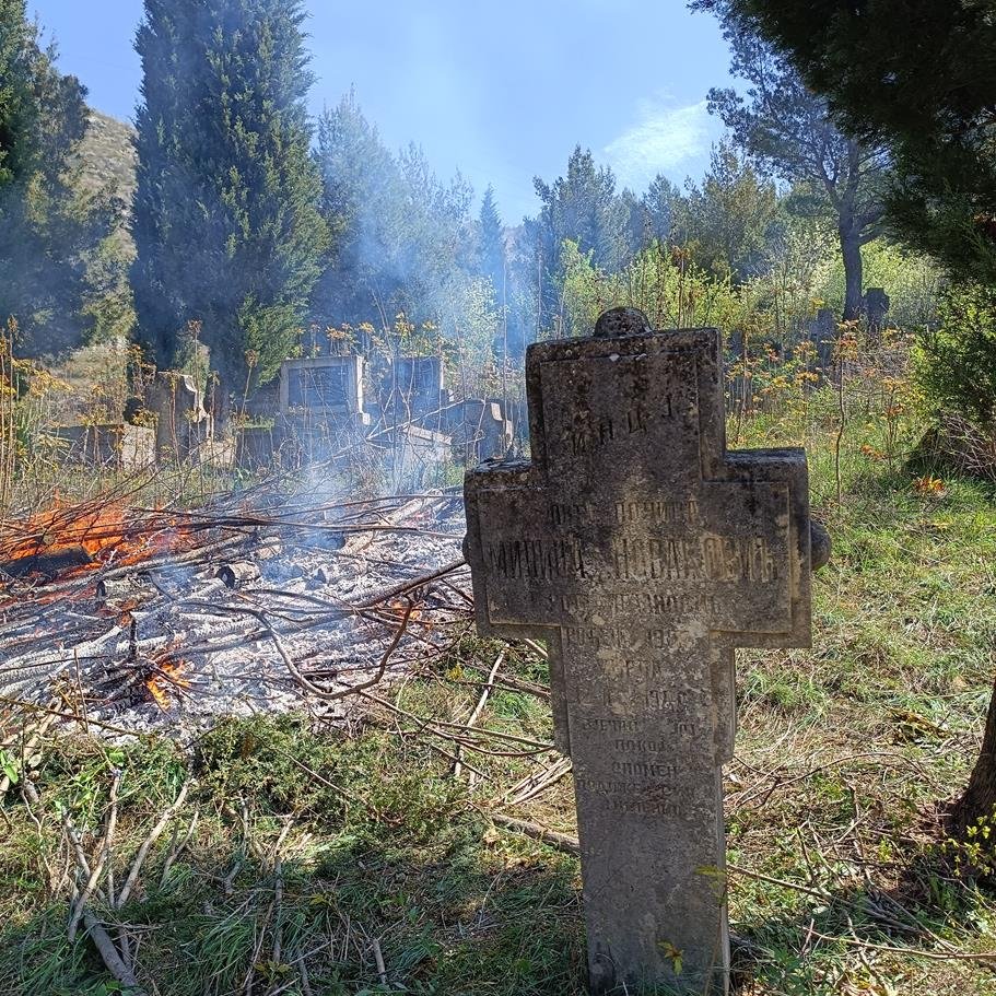 IMG 20240330 112114-Copy