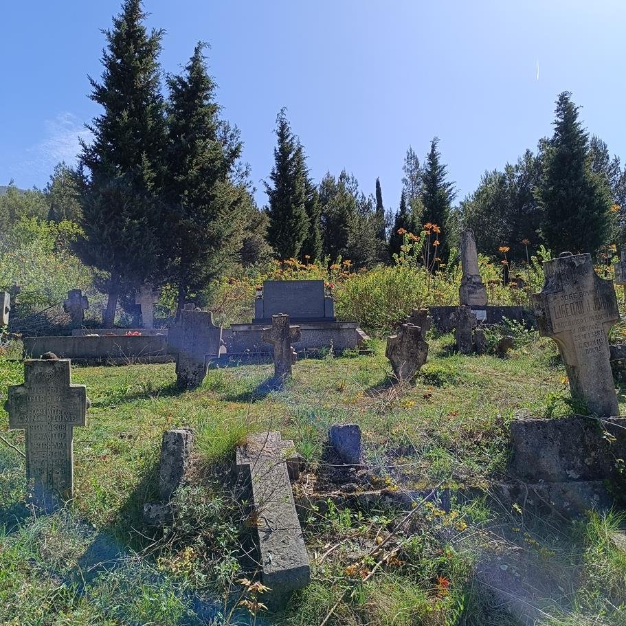 IMG 20240330 112137-Copy