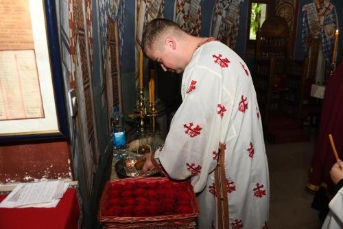 DSC 0496-Copy