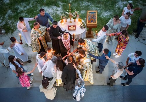 DSC 3103-Enhanced-NR