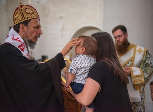 DSC 3111-Enhanced-NR