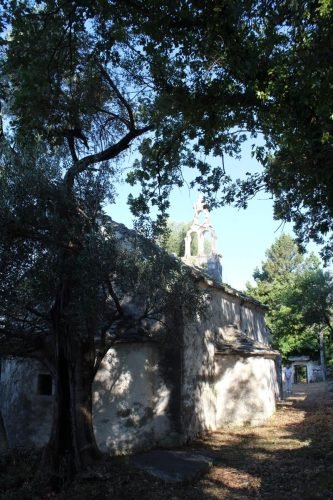 IMG-5b1239f5436bad11a00ed26a143950a9-V