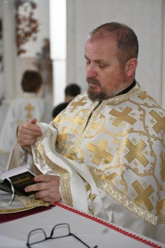 IMG-810cb35bae538cc4e4950deca22a35a3-V-Medium