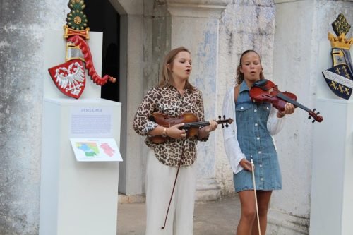 IMG-afed2b101bbb68d44859dfcf3d539451-V