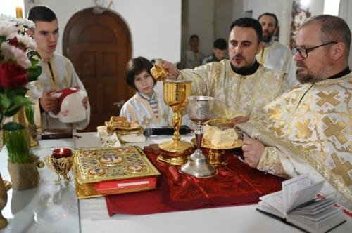 IMG-b0ae94e5e8da86001a381cd9124993cb-V-Medium