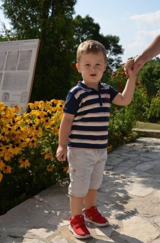 IMG-d7faac8c52438c7c9c4f176ecd3f7e13-V