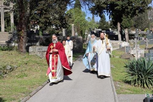 IMG 0202-Copy
