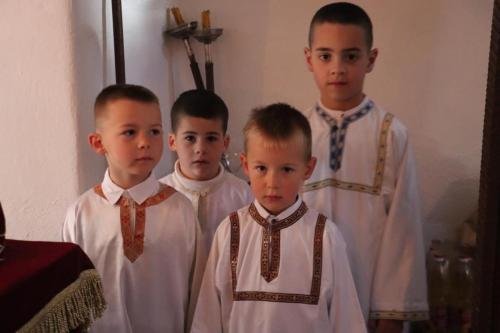 IMG 0227-Copy