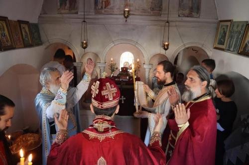 IMG 0234-Copy